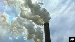 Health Group Finds Half of US Breathing Poor-Quality Air