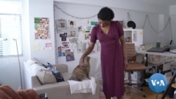 Cartoonist Reflects On Diversity Through Art