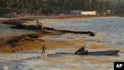In this May 8, 2019 file photo, sargassum seaweed fills the shore where fishermen push their boat to sea in Playa del Carmen, Mexico. 