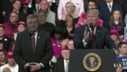 Trump and Democrats Face Major Test in Tuesday Election