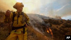 A member with California Department of Forestry and Fire Protection (Cal Fire) battles a brushfire on the hillside in Burbank, Calif., Sept. 2, 2017. 