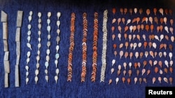 Artefak-artefak yang dipamerkan dalam pemaparan penemuan baru di Lembah Monyet, di Luxor, 10 Oktober 2019. (Foto: Reuters)