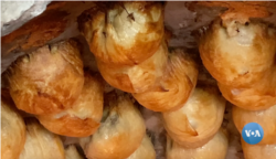 "Tandir kabob" somsalari