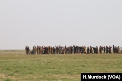 Men line up to be searched and then investigated for suspected connections to the Islamic State group after leaving the battle for IS's last stronghold, which is not much more than a camp along the banks of the Euphrates River, Feb. 26, 2019. (H.Murdock/VOA)