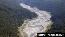 Elwha River Rebirth