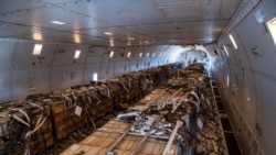 Esta foto de un folleto, cortesía de la Fuerza Aérea de los EE. UU., tomada el 22 de enero de 2022, muestra a aviadores del 60° Escuadrón de Puerto Aéreo llevando carga a una nave 757 en la Base de la Fuerza Aérea de Travis, California, EE. UU.