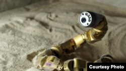 CMU scientists adapt the snake robot model from what they learn about how sidewinder rattlesnakes move. (Nico Zevallos and Chaohui Gong)