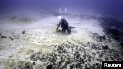 A diver inspects damage caused by a Chinese bulk coal carrier that ran aground on the Great Barrier Reef, east of Great Keppel Island, April 13, 2010.