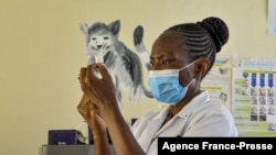 FILE - A health worker prepares a malaria vaccination for a child in Yala, Kenya, on Oct. 7, 2021.
