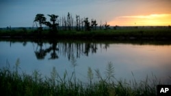 In this July 16, 2017, photo, the sun rises on a "ghost forest" near the Savannah River in Port Wentworth, Ga. Rising sea levels are killing trees along vast swaths of the North American coast by inundating them in saltwater. The dead trees in what used to be thriving freshwater coastal environments are called “ghost forests” by researchers.