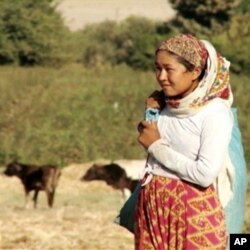 Tojikiston qishloq xo'jaligida ham asosan ayollar mehnat qiladi