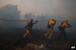 FILE - Firefighters put out a wildfire burning in an orchard in Santa Paula, Calif., Dec. 5, 2017.