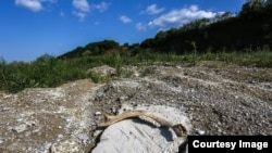 Iz Općine Kalesija tvrde da tuzlanski kruks, koji je pretvoren u neopasni otpad, nije ostavljen na njihovoj deponiji. Međutim, novinari CIN-a su ga tamo pronašli i odnijeli na analizu. (Foto: CIN)