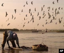Fisherman on the White Nile (Morada). Khartoum, Sudan. Increased periods of drought would likely mean less water, and fish, for Africa's basins.