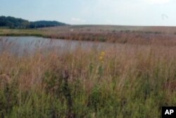 The containment mound in the background, which looms over the preserve, contains entombed radioactive waste.