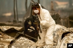 A search-and-rescue worker, looking for Camp Fire victims, carries Susie Q. to safety after the cadaver dog fell through rubble at the Holly Hills Mobile Estates, Nov. 14, 2018, in Paradise, Calif.