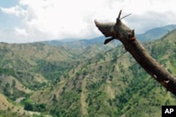 The denuded landscape near Petit Guave. Haiti is 98 percent deforested.