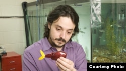 Insinyur Maurizio Porfir memegang robot ikan kreasinya dalam labnya di New York. (Polytechnic Institute of New York University)
