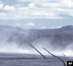 The volcanic eruption killed almost all the plant and animal life in the blast zone