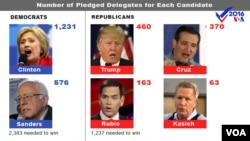 Delegate count