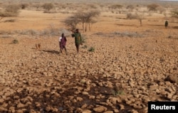 Armed Turkana tribesmen wait for cattle to get water from a borehole near Baragoy, Kenya, Feb. 14, 2017.