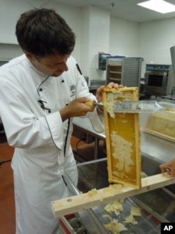 Executive sous chef Ian Bens scrapes a thin layer of wax off the bee frame before the honey is extracted.