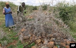 Small-scale farmer Emuria Lorere, 54, and his sister Nashesh Lorere, 43, left, visit the grave of his brother Emathe Nangula who was killed by armed herders who also stole his goats and sheep, in Laikipia, Kenya, July 27, 2017.