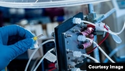 An electrocatalysis reactor built at Rice University recycles carbon dioxide to produce pure liquid fuel solutions using electricity. The scientists behind the invention hope it will become an efficient and profitable way to reuse the greenhouse gas and k