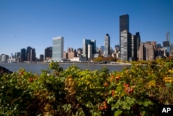 El horizonte de la ciudad de Nueva York visto desde el Parque Franklin D. Roosevelt Four Freedoms, el 8 de noviembre de 2018, desde Nueva Jersey a través del East River.