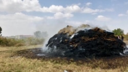 Friday’s airstrike, witnesses say, hit a farmer’s field near a fenced off area on the eastern side of Mekelle University. (Horn of Africa Service/VOA)
