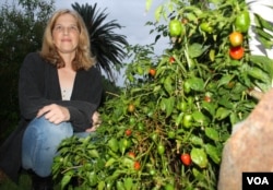 Melissa de Billot of Slow Food International spearheads of a movement to save South African traditional beer. (D. Taylor/VOA)