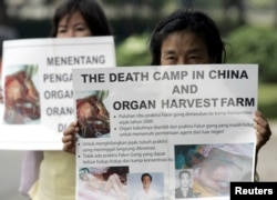 FILE - Indonesian Falun Gong followers carry placards during a protest in front of U.S. embassy in Jakarta, April 19, 2006. A group of protesters called on U.S. President George W. Bush to raise the issue of China harvesting organs from Chinese people during his talks with Chinese President Hu Jintao.