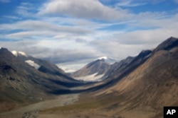 The ancient forest was discovered in a valley that today is largely barren landscape.