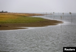 FILE - A view of the Thengar Char island in the Bay of Bengal, Bangladesh, Feb. 2, 2017.