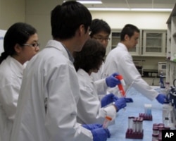 来自中国的学员作样品分析