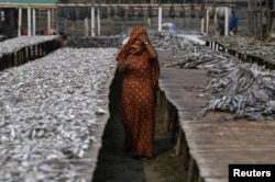 FILE - A Rohingya refugee woman walks through Nazirartek fish drying yard where she works, in Cox's Bazar, Bangladesh, March 23, 2018.