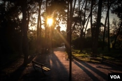 Located near Victoria Square, Pedion tou Areos park is also known for the presence of young migrants and refugees, who wait on park benches to be approached by clients. (Photo: J. Owens for VOA)