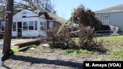 Fallen trees on homes are a common sight in Panama City, Fla., as part of the path of destruction left by Hurricane Michael.