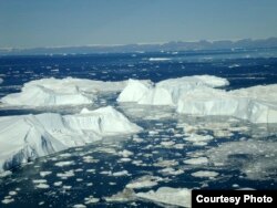 Icebergs at Jakobshavn, one of four glaciers that scientists typically use to model the activity of all Greenland glaciers. The new study finds that this method of modeling is too simplistic to accurately capture how Greenland's ice is truly changing.