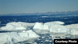 Icebergs at Jakobshavn, one of four glaciers that scientists typically use to model the activity of all Greenland glaciers. The new study finds that this method of modeling is too simplistic to accurately capture how Greenland's ice is truly changing.