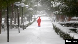 A boy walks under snow-covered trees during a snowfall in Istanbul, Turkey, Jan. 7, 2017.