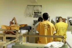 Napi menelepon dari sel mereka di penjara Orange County di Santa Ana, California, 24 Mei 2011. (REUTERS)