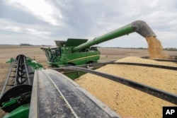FILE - Mike Starkey offloads soybeans from his combine as he harvests his crops in Brownsburg, Indiana, Sept. 21, 2018.