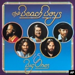 The Beach Boys '15 Big Ones' CD