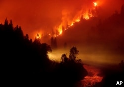 The Delta Fire burns in the Shasta-Trinity National Forest, Calif., on Sept. 6, 2018.