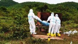 រូប​ឯកសារ៖ ភ្នាក់ងារសុខាភិបាលចាត់ចែងបូជាសាកសពអ្នកជំងឺកូវីដ១៩ម្នាក់នៅស្រុកកំពង់ត្រាច ខេត្តកំពត កាល​ពី​ខែមិថុនា ឆ្នាំ២០២១។ (រូបថត៖ ហ្វេសប៊ុក​ស្នងការដ្ឋាននគរបាលខេត្តកំពត)