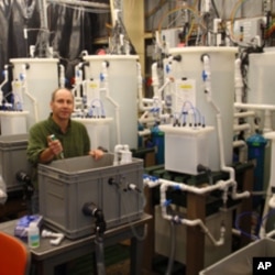 NOAA Fisheries biologist Paul McElhany in his Seattle lab.
