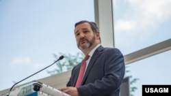 تد کروز - آرشیو