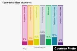 Courtesy: More in Common/The Hidden Tribes of America