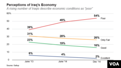 Perceptions of Iraq’s Economy